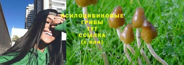 a pvp Усинск