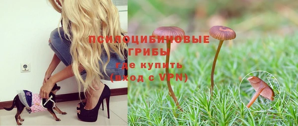 мдпв Усмань