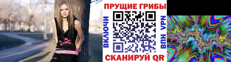 Галлюциногенные грибы прущие грибы  Купить закладки  Копейск 