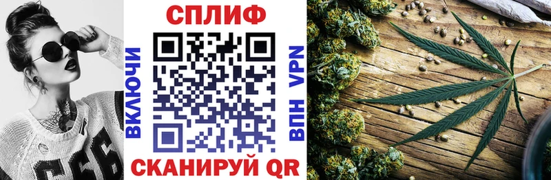 Бошки марихуана SATIVA & INDICA  Купить где  Копейск